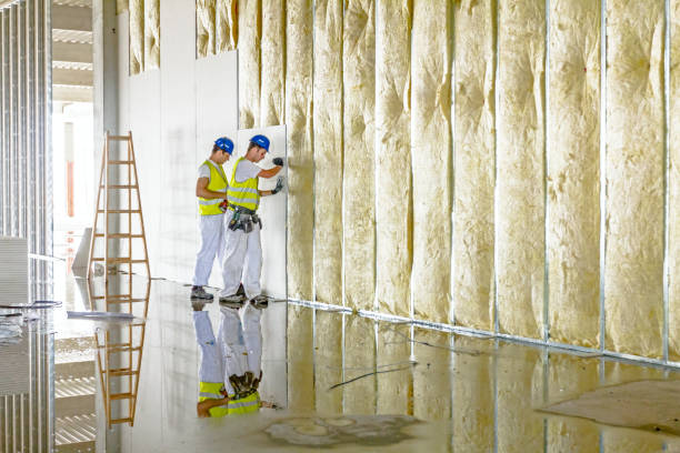 Best Insulation Replacement Services  in Attica, IN